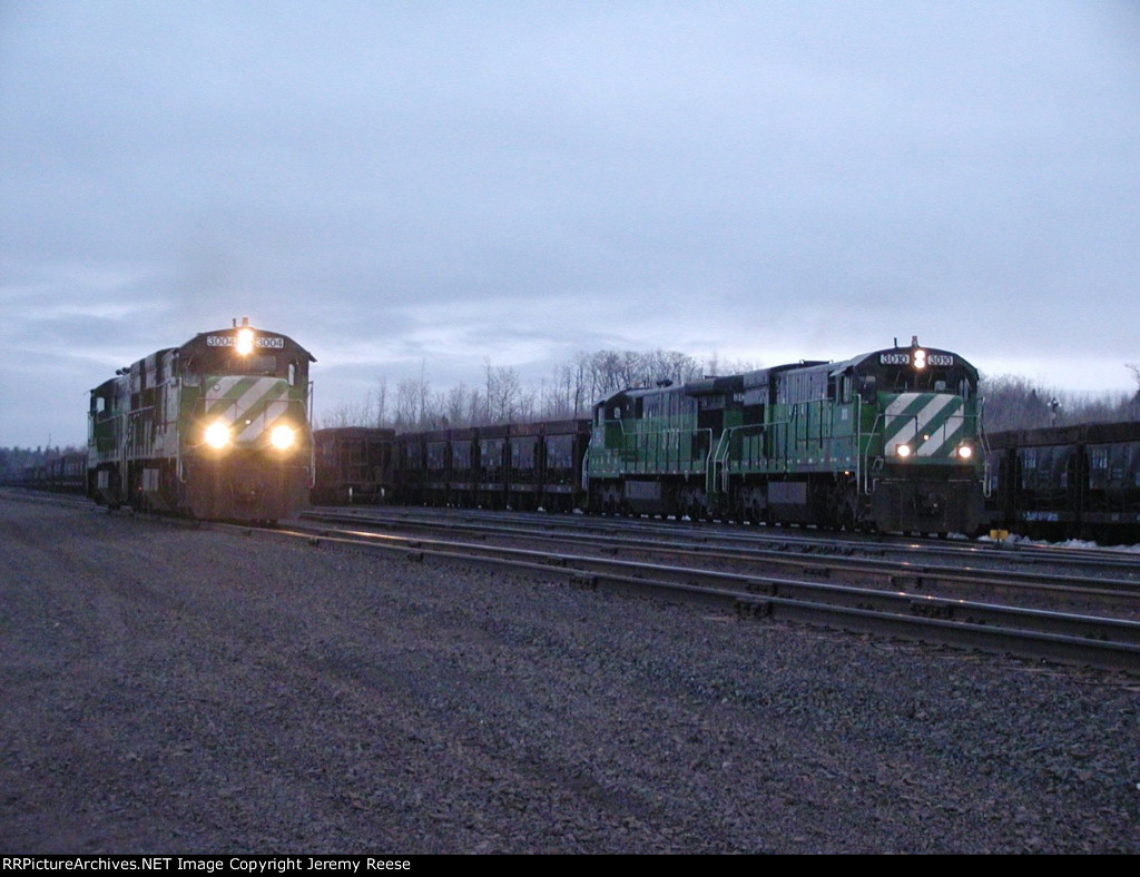 LSI 3004 and 3010 running around yard